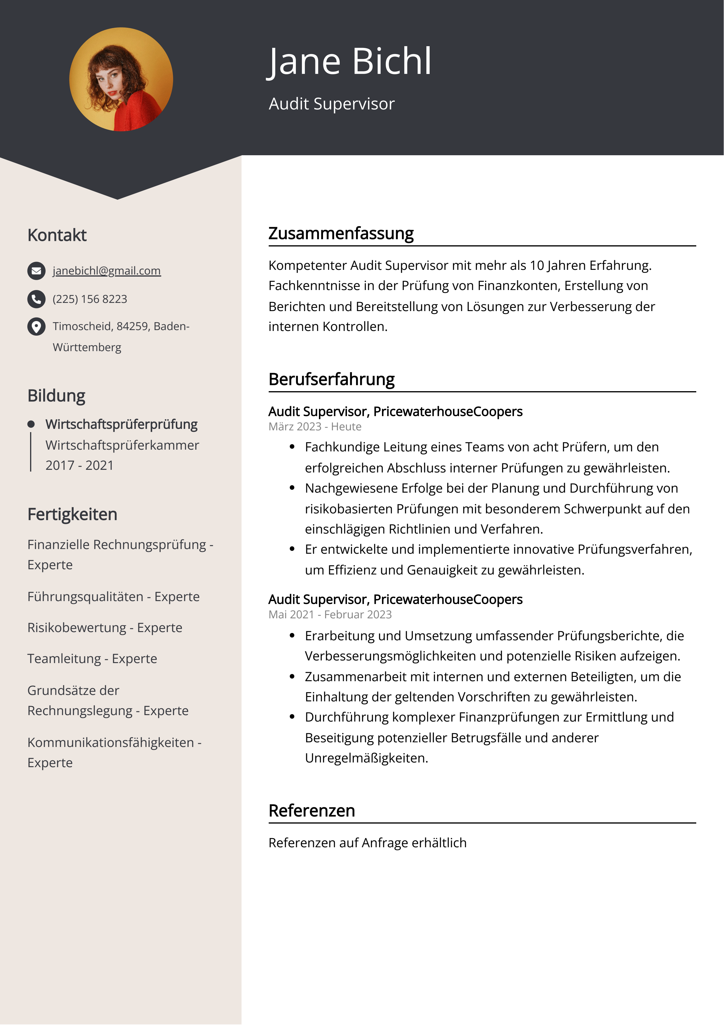 Lebenslauf Beispiel Audit Supervisor