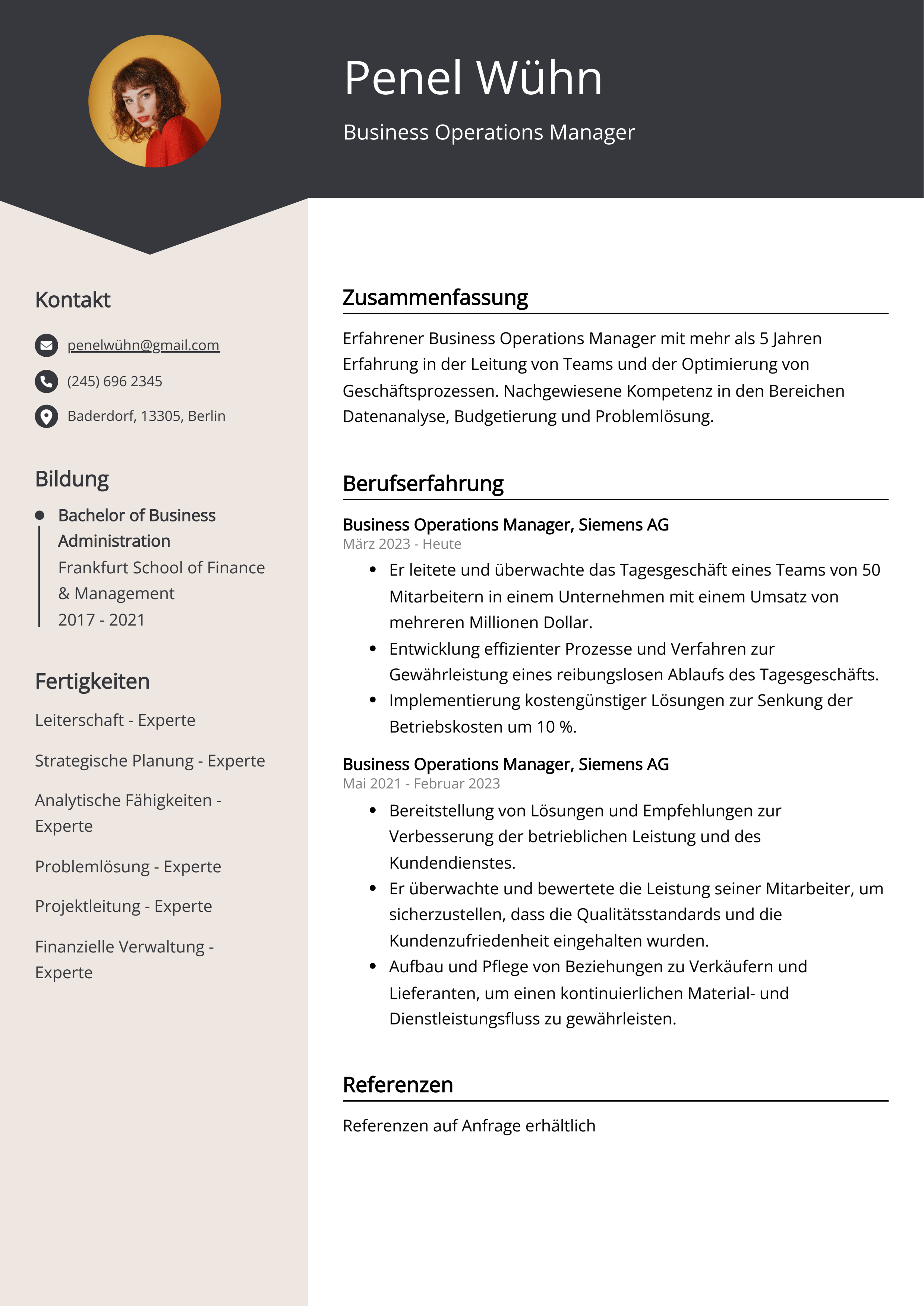 Lebenslauf Beispiel Business Operations Manager