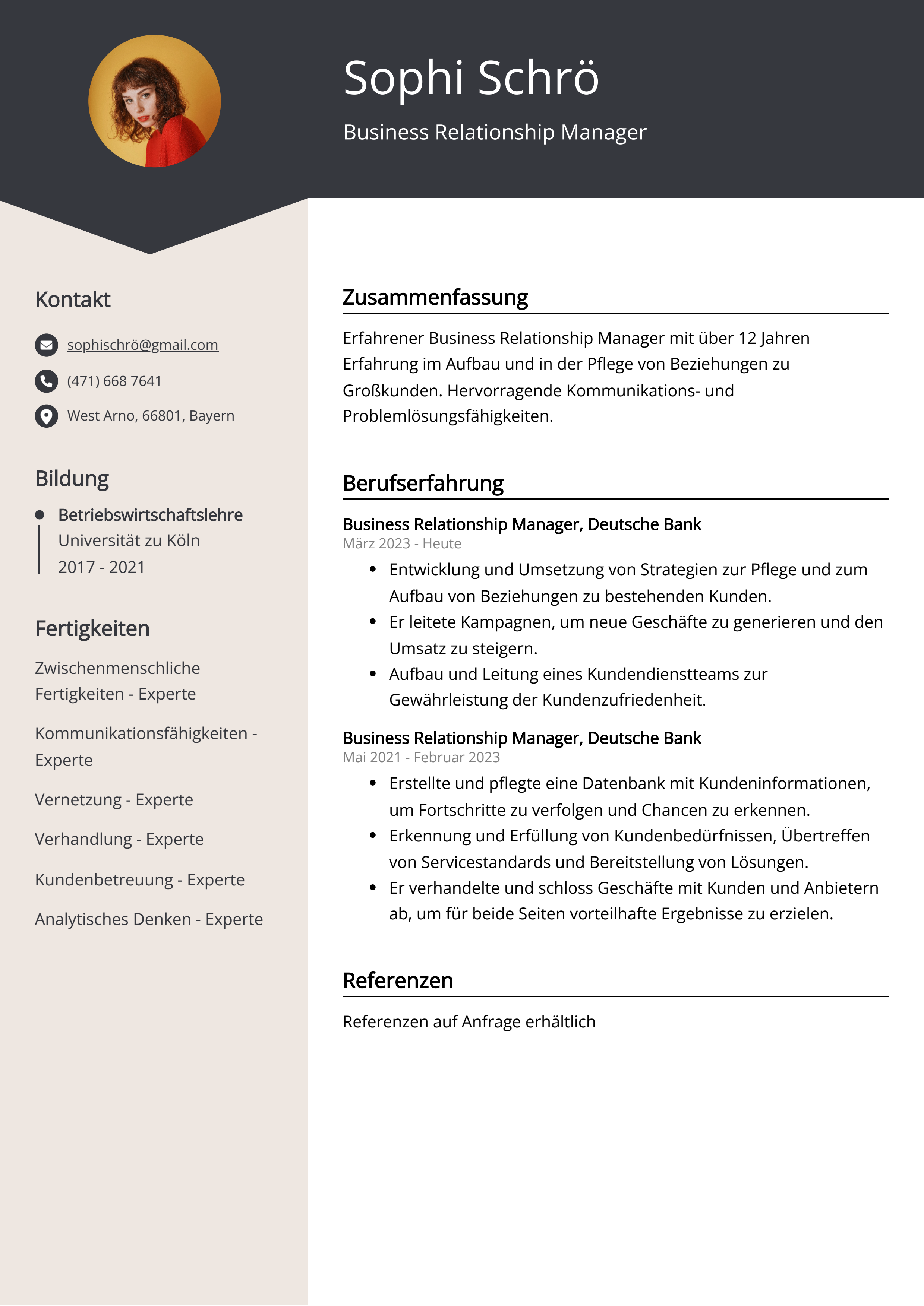 Lebenslauf Beispiel Business Relationship Manager