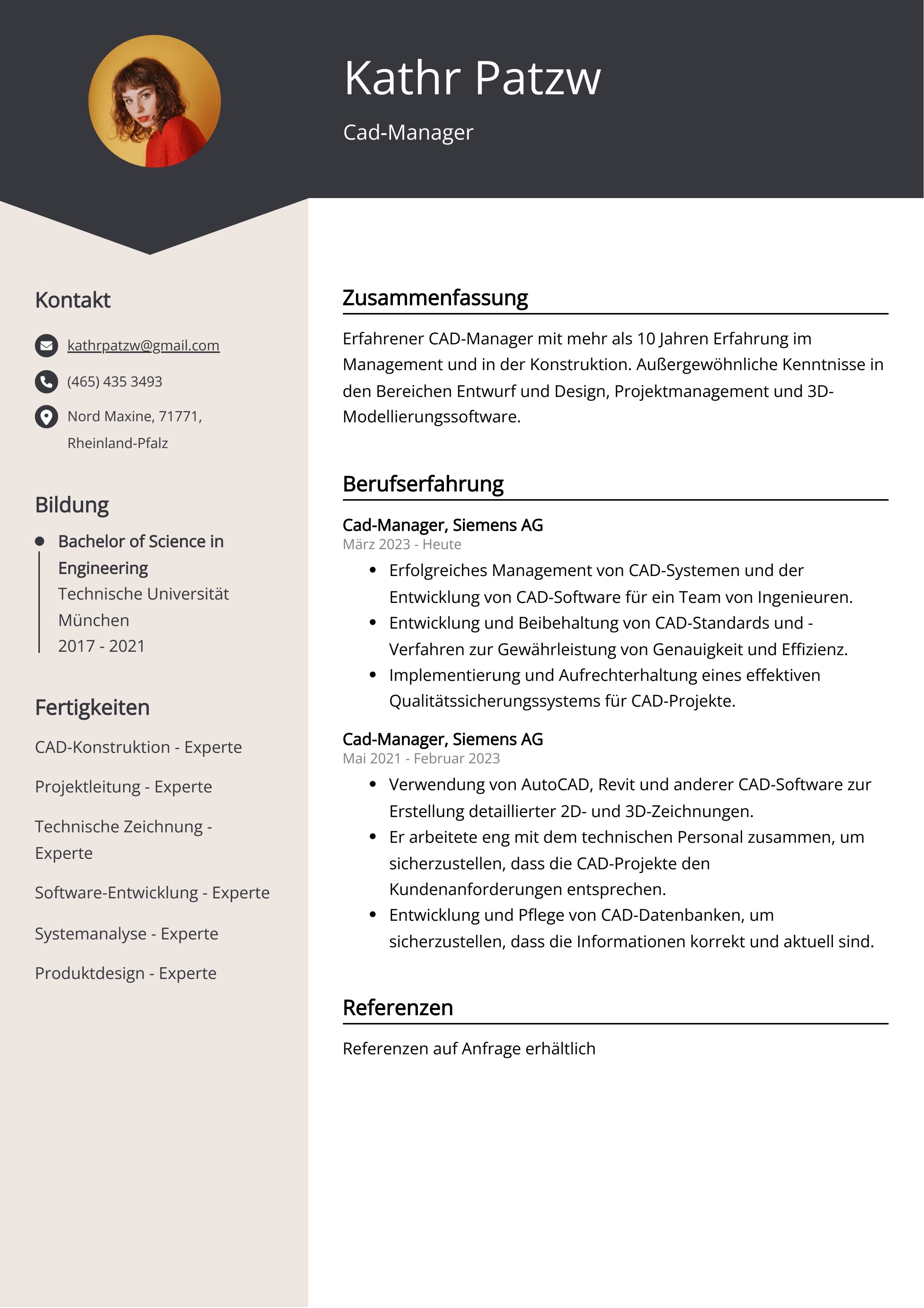 Cad-Manager Lebenslauf Beispiel