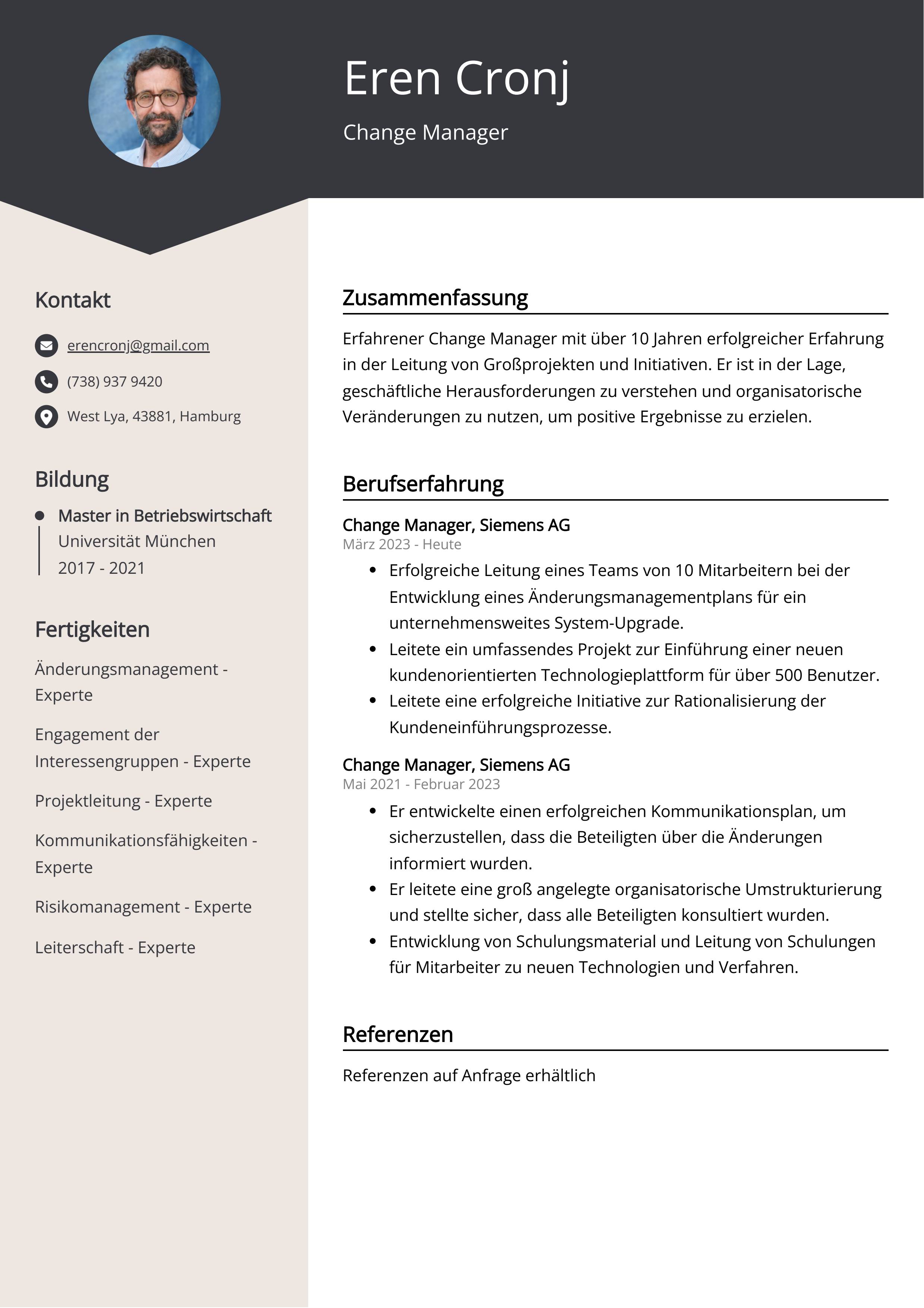 Lebenslauf Beispiel Change Manager