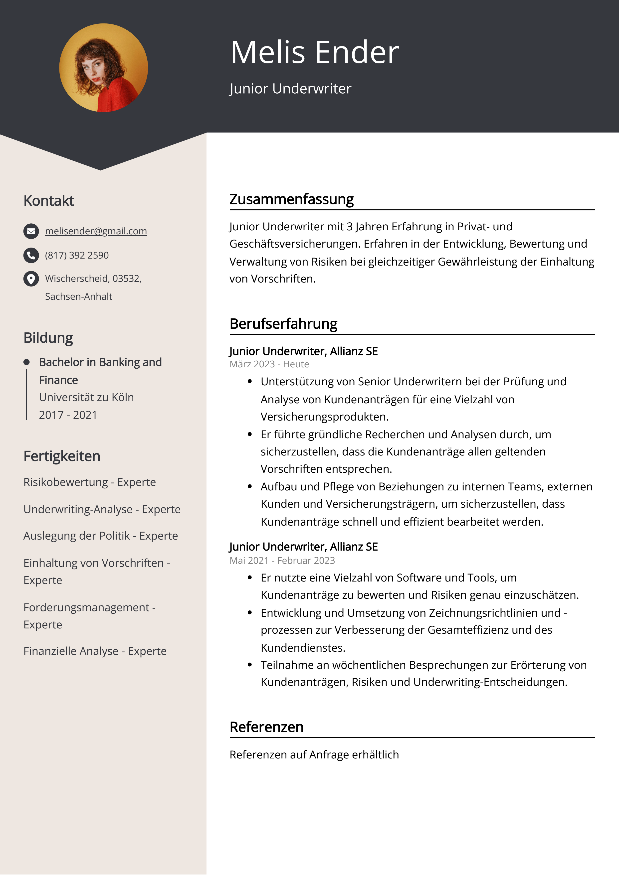 Lebenslauf Beispiel Junior Underwriter