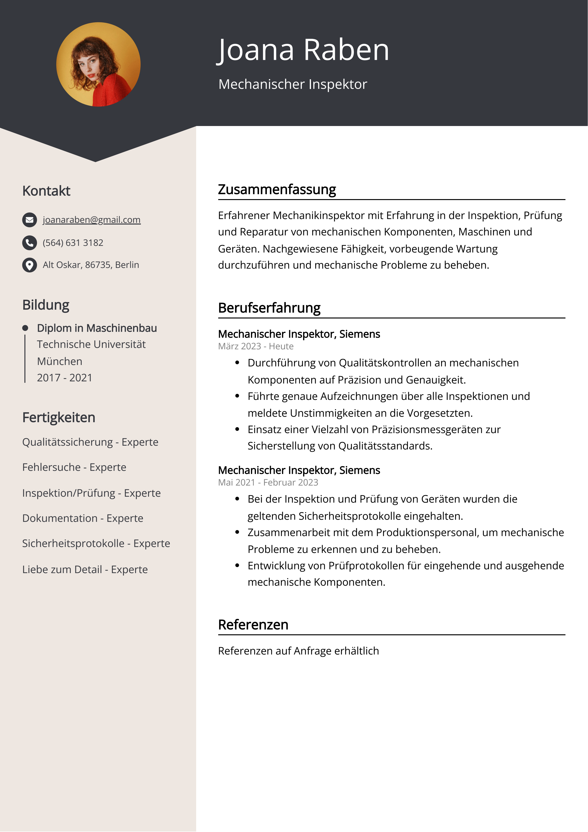 Mechanischer Inspektor Lebenslauf Beispiel