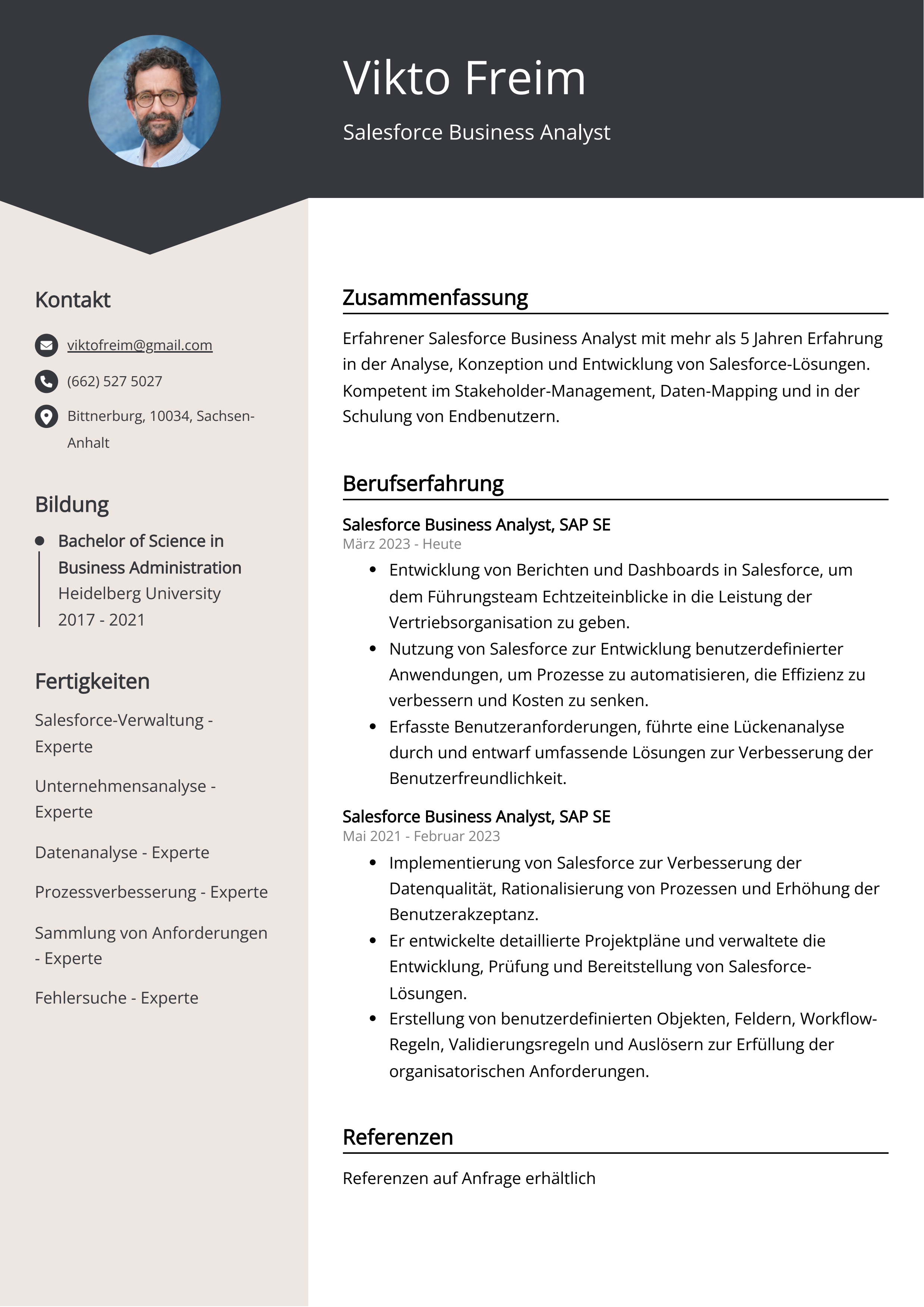 Lebenslauf Beispiel Salesforce Business Analyst