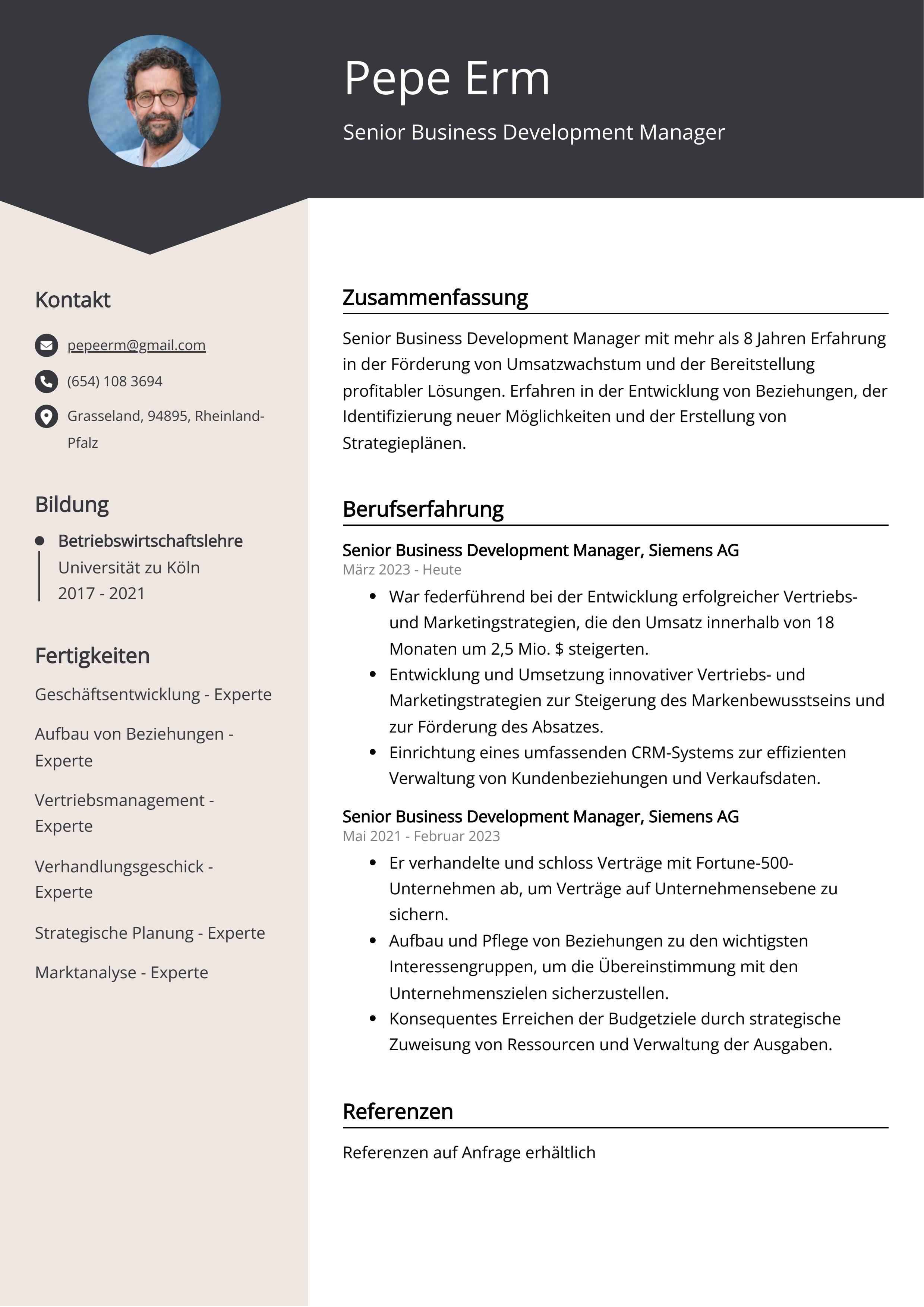 Lebenslauf Beispiel Senior Business Development Manager