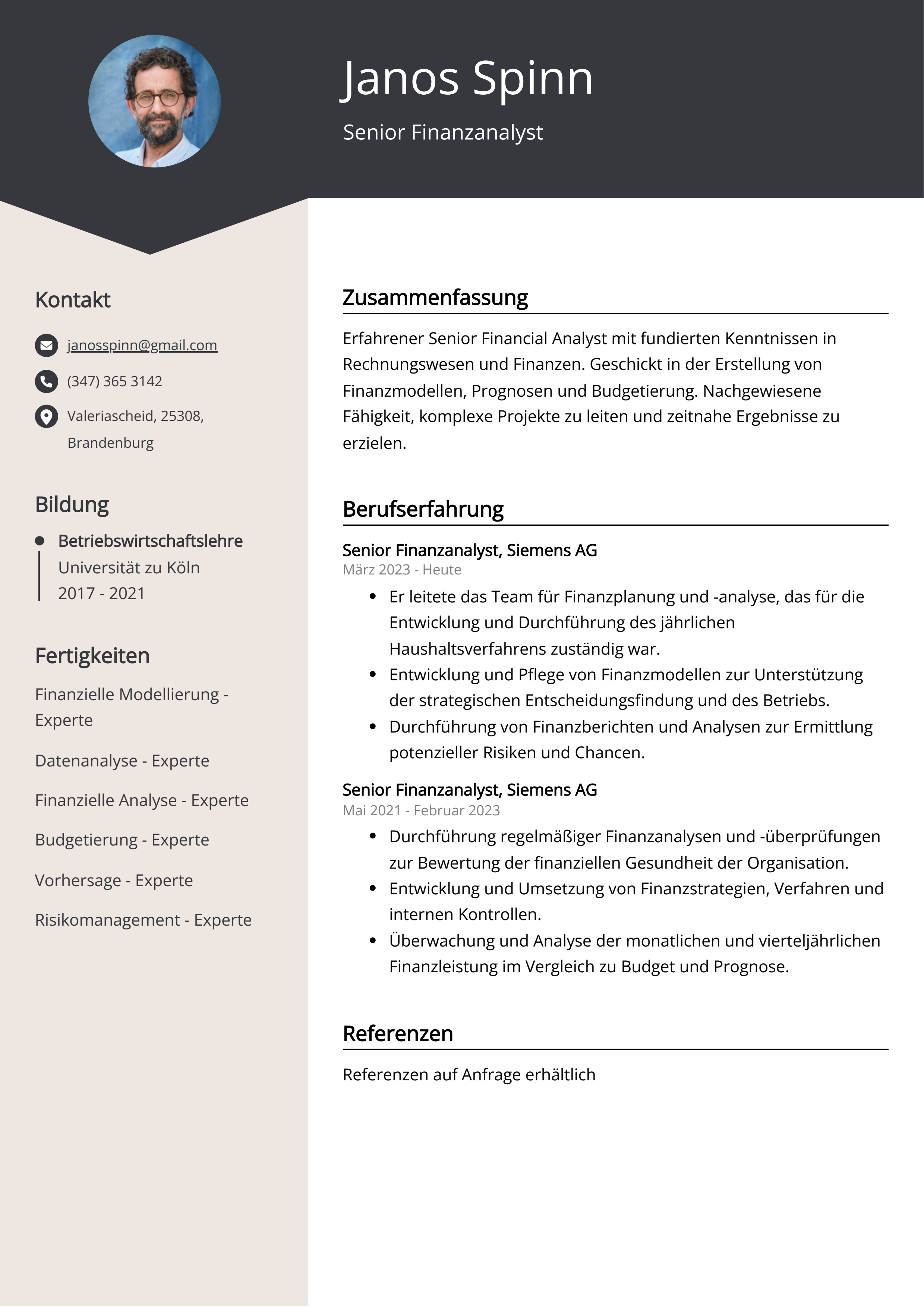 Senior Finanzanalyst Lebenslauf Beispiel