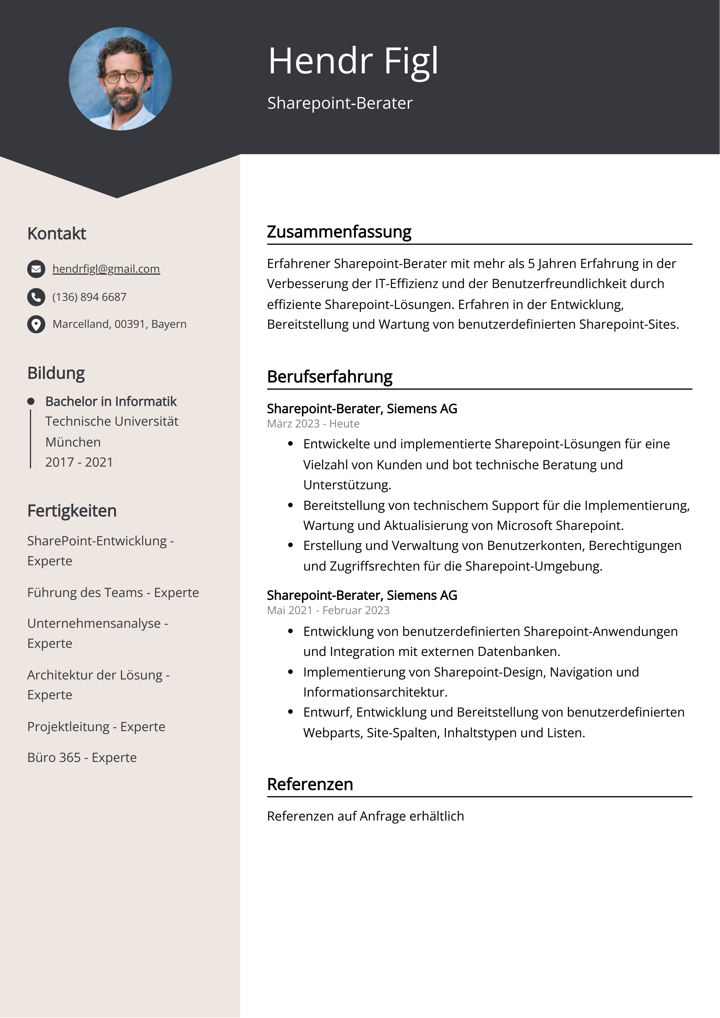 Sharepoint-Berater Lebenslauf Beispiel