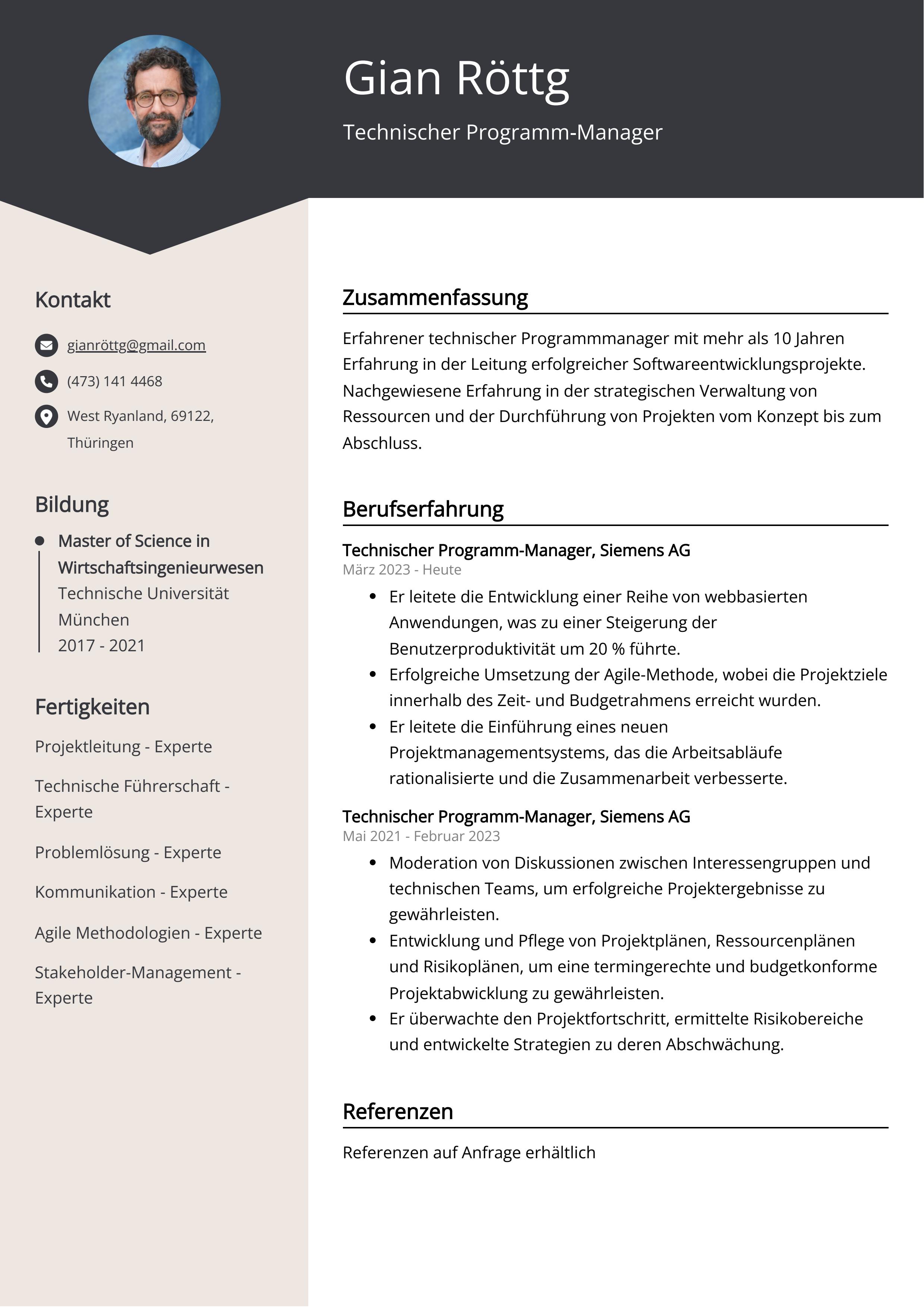 Technischer Programm-Manager Lebenslauf Beispiel